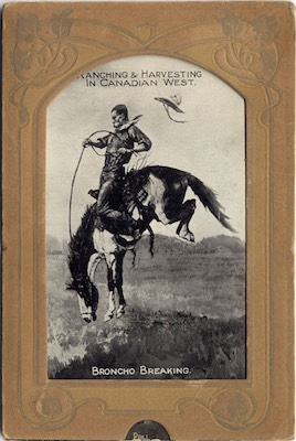 MacFarlaneS72Ranching1906.jpg